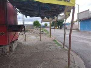 Terreno en Renta en Monte Real Torreón