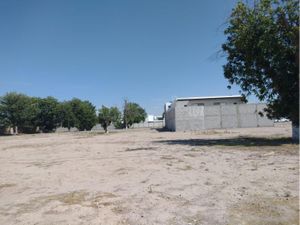 Terreno en Venta en Real del Nogalar Torreón