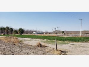 Terreno en Venta en Valle de Parras Parras