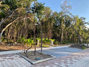 Terreno en Venta en Jardines de Ciudad Mayakoba Solidaridad