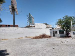 Terreno en Renta en Nuevo Torreon Torreón