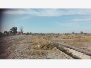 Terreno en Venta en La Conchita Roja Torreón