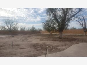 Terreno en Venta en La Barranca Torreón