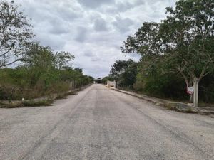 Terreno en Venta en Komchén (Santuario) Mérida