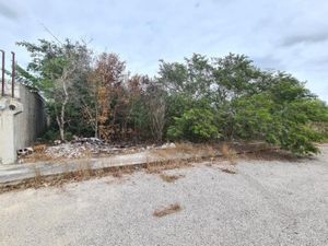 Terreno en Venta en Komchén (Santuario) Mérida