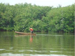 Terreno en Venta en San Felipe Bacalar Bacalar