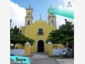 Terreno en Venta en Seye Seyé