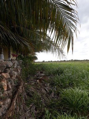 RANCHO EN VENTA EN DZILAM GONZALEZ YUCATAN