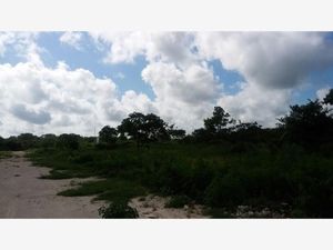 Terreno en Venta en Izamal Izamal