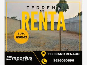 Terreno en Renta en Feliciano Renauld (San Francisco) Tapachula