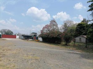 Bodega en Venta en Tapachula Centro Tapachula