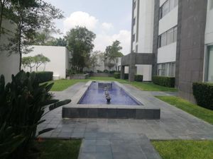 Departamento en Renta en Lomas Altas Zapopan