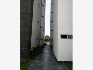 Departamento en Renta en Lomas Altas Zapopan