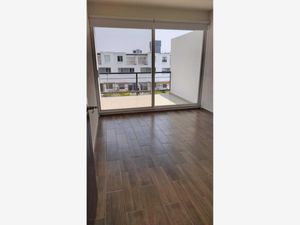 Departamento en Renta en Juriquilla Querétaro