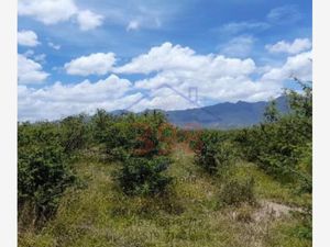 Terreno en Venta en Tlacolula de Matamoros Centro Tlacolula de Matamoros