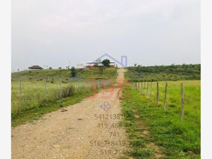 Terreno en Venta en Ciudad de Allende Centro Allende