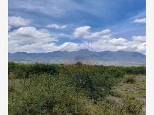 Terreno en Venta en Tlacolula de Matamoros Centro Tlacolula de Matamoros