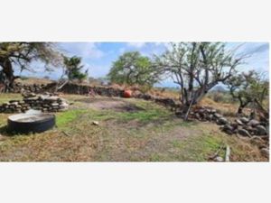 Terreno en Venta en Santa Maria Ahuacatitlan Cuernavaca