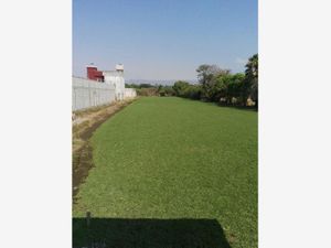 Terreno en Venta en Ejidos de Acapatzingo Cuernavaca