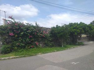 Terreno en Venta en Tamoanchan Jiutepec