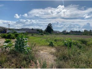 Terreno en Renta en San Martín Tepetlixpa Cuautitlán Izcalli