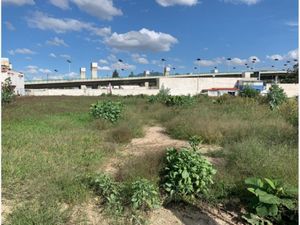 Terreno en Renta en San Martín Tepetlixpa Cuautitlán Izcalli