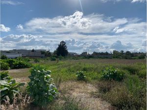 Terreno en Renta en San Martín Tepetlixpa Cuautitlán Izcalli