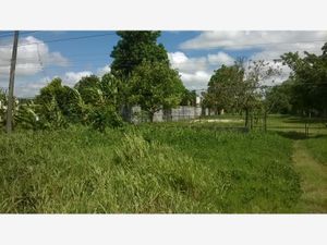 Terreno en Venta en Tierra Amarilla 1ra. Sección Centro