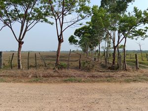 Finca/Rancho en Venta en Tierra Colorada 1a Secc Huimanguillo