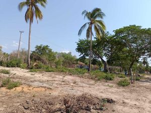 Terreno en Venta en Tres Palos Acapulco de Juárez