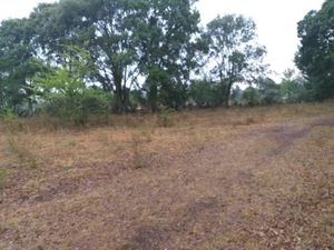 Terreno en Venta en Santa Martha de la Cruz Jilotepec