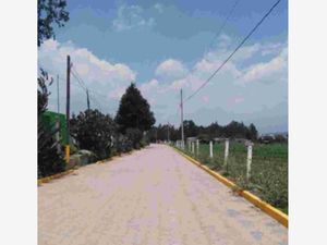 Terreno en Venta en Santa Ursula Zimatepec Yauhquemehcan