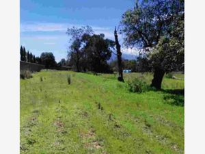 Terreno en Venta en Santa Ursula Zimatepec Yauhquemehcan