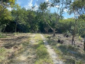 Terreno en Venta en Centro Hunucmá Hunucmá