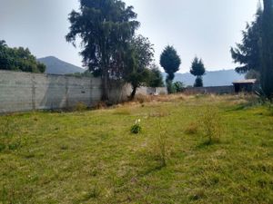 Terreno en Venta en Santiago Tepeticpac Totolac