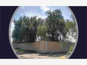 Terreno en Venta en Santa Ursula Zimatepec Yauhquemehcan