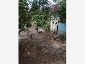 Terreno en Venta en Alvarado Centro Alvarado