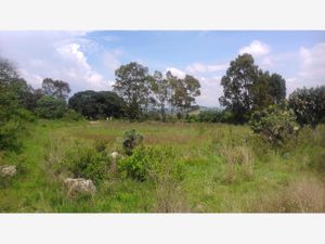 Terreno en Venta en Aculco de Espinoza Aculco