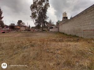 Terreno en Venta en Aculco de Espinoza Aculco