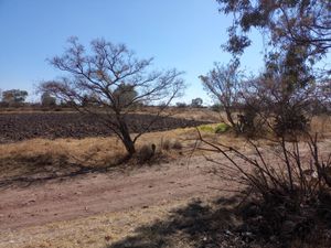 Terreno en Venta en Santa Ana Matlavat Centro Aculco