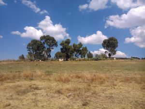 Terreno en Venta en Aculco de Espinoza Aculco