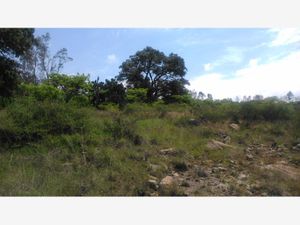 Terreno en Venta en Aculco de Espinoza Aculco