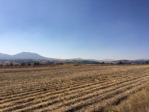 Terreno en Venta en fondo Aculco