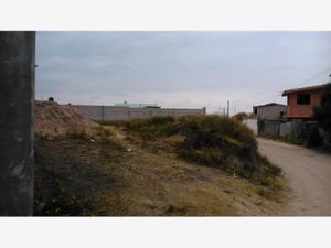 Terreno en Venta en Aculco de Espinoza Aculco