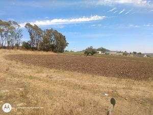 Terreno en Venta en Aculco de Espinoza Aculco