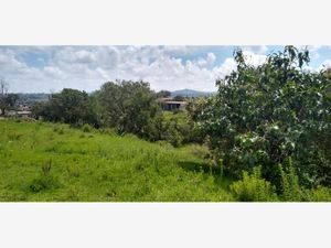 Terreno en Venta en San Jerónimo Aculco