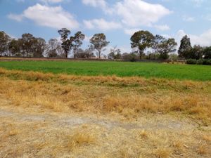 Terreno en Venta en Gunyo Poniente Aculco