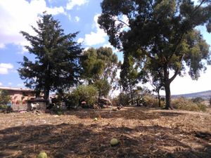 Terreno en Venta en Aculco de Espinoza Aculco