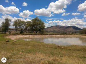 Terreno en Venta en Aculco de Espinoza Aculco