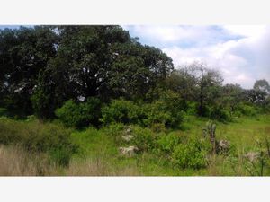 Terreno en Venta en Aculco de Espinoza Aculco